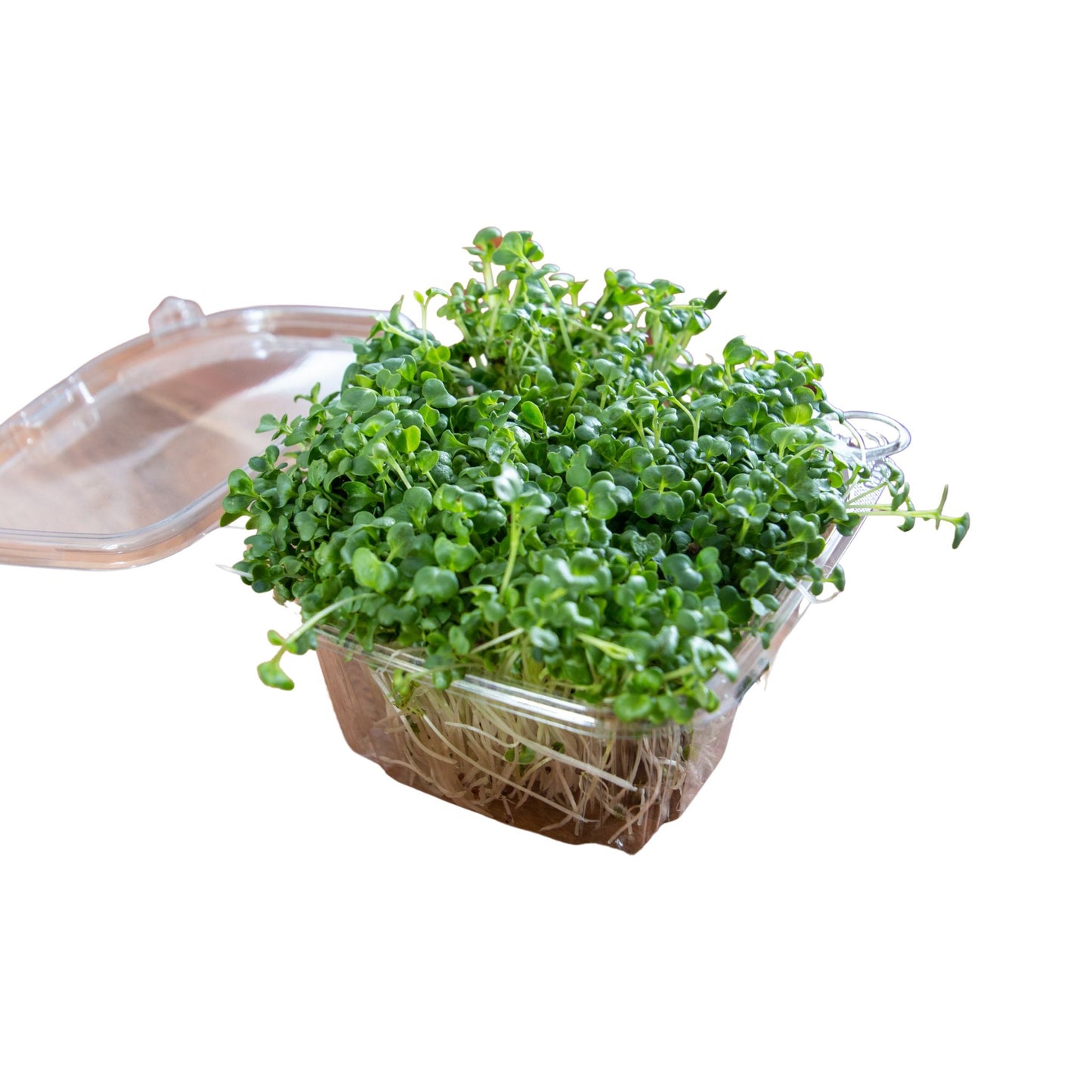 10oz. Monthly Microgreens Subscription