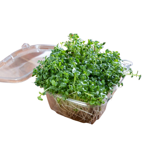 10oz. Monthly Microgreens Subscription