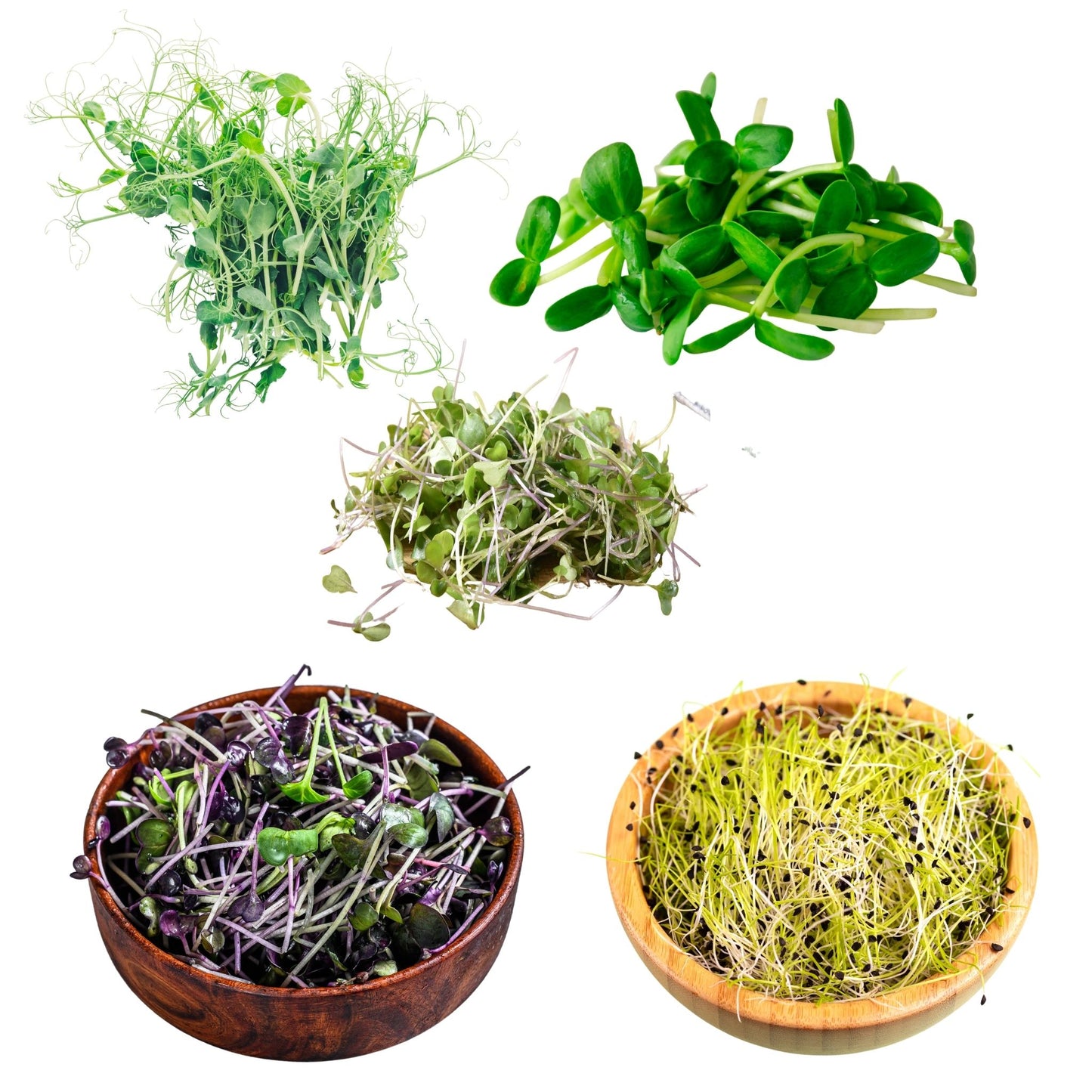 10oz. Monthly Microgreens Subscription