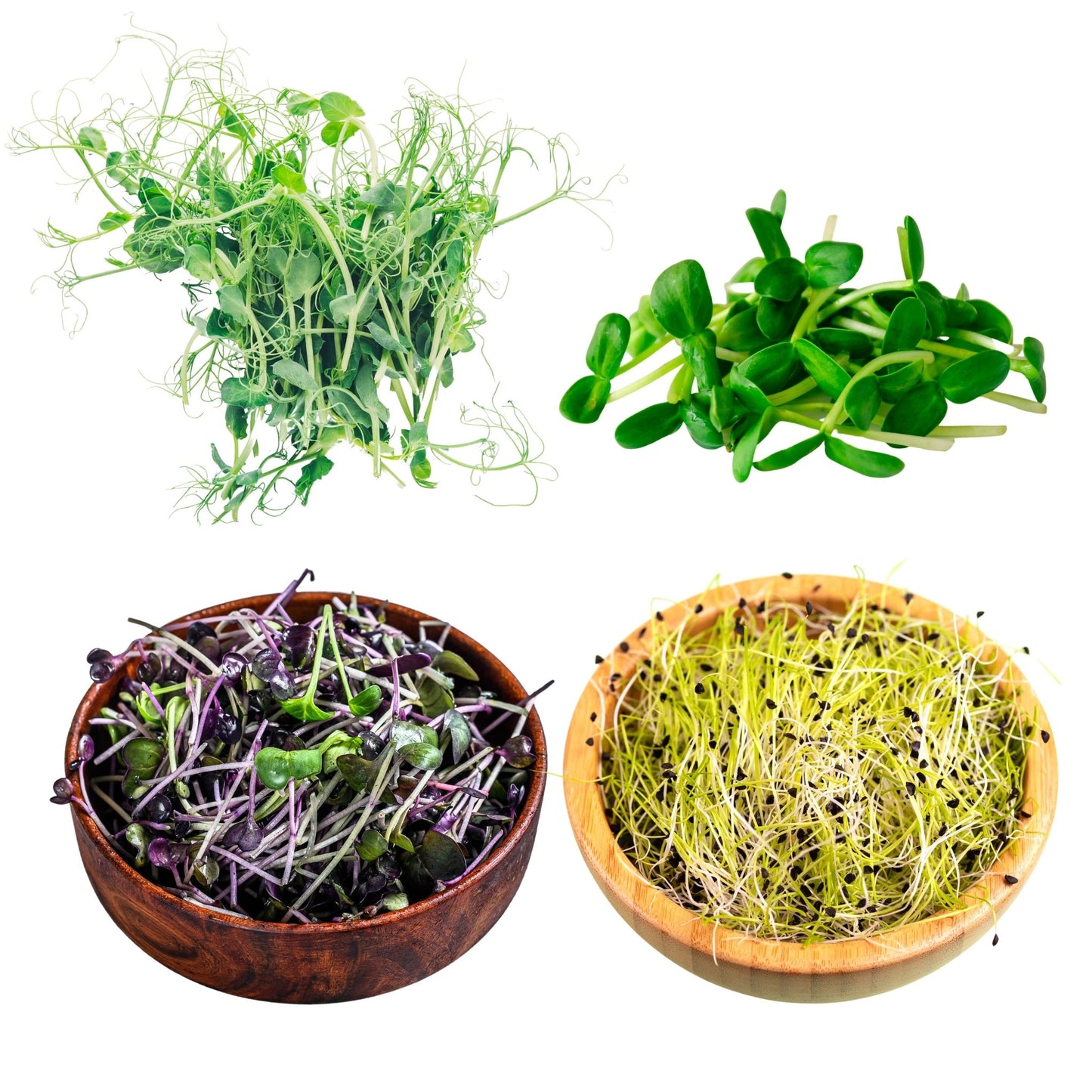 10oz. Monthly Microgreens Subscription