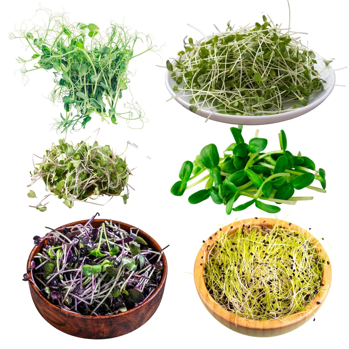 10oz. Monthly Microgreens Subscription